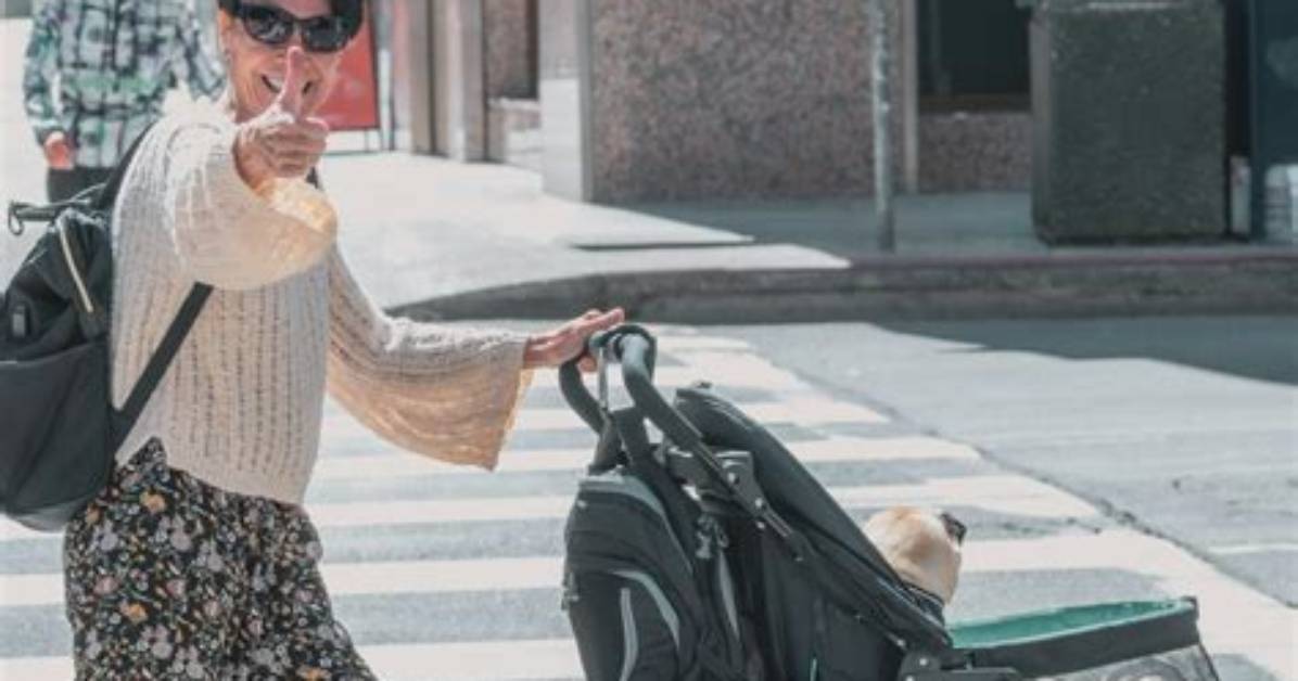 Stroller Video Outrage Timeline from Sidewalk Recording to Ongoing