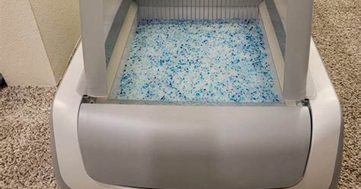 Tested Does Costco Cat Litter and Automatic Tech Really