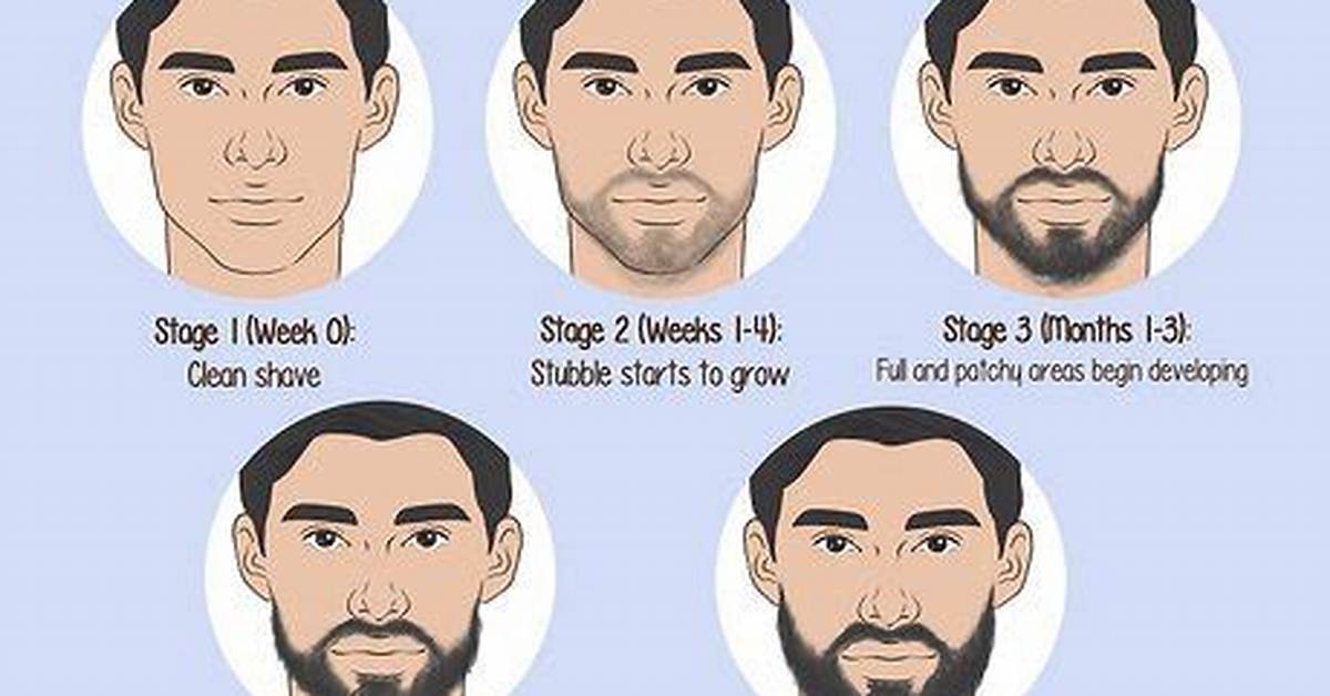 Textra Facial Hair Stubble Breakdown Visual