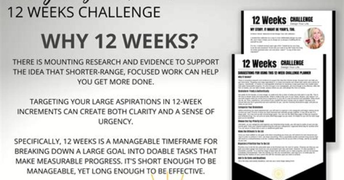 The 12 Week Life Cycle How a Brazilian Blowout Evolves on 4A Natural Hair