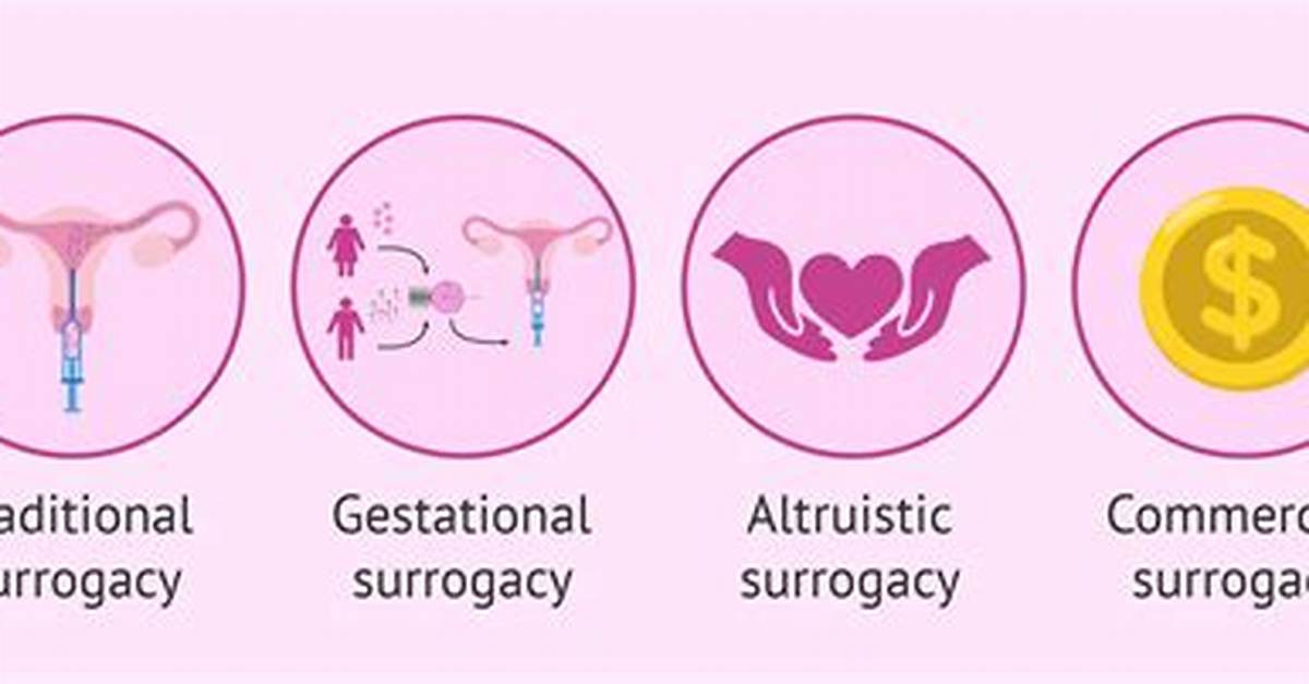 The 120 000 Surrogacy Mystery Proof of How Elite Dynasties