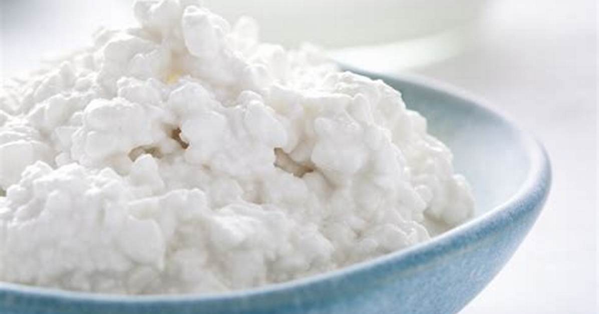 The 2026 Cottage Cheese Renaissance How Food Culture Embraced The