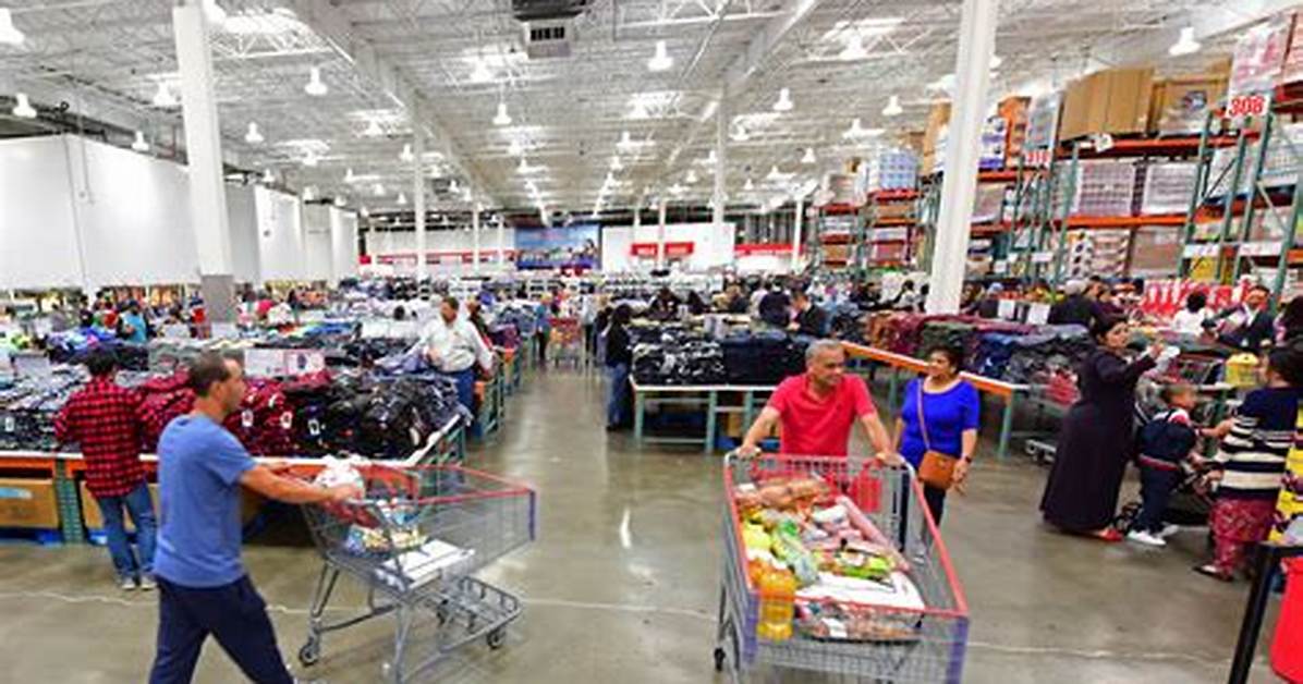 The 47 Costco Backyard Find