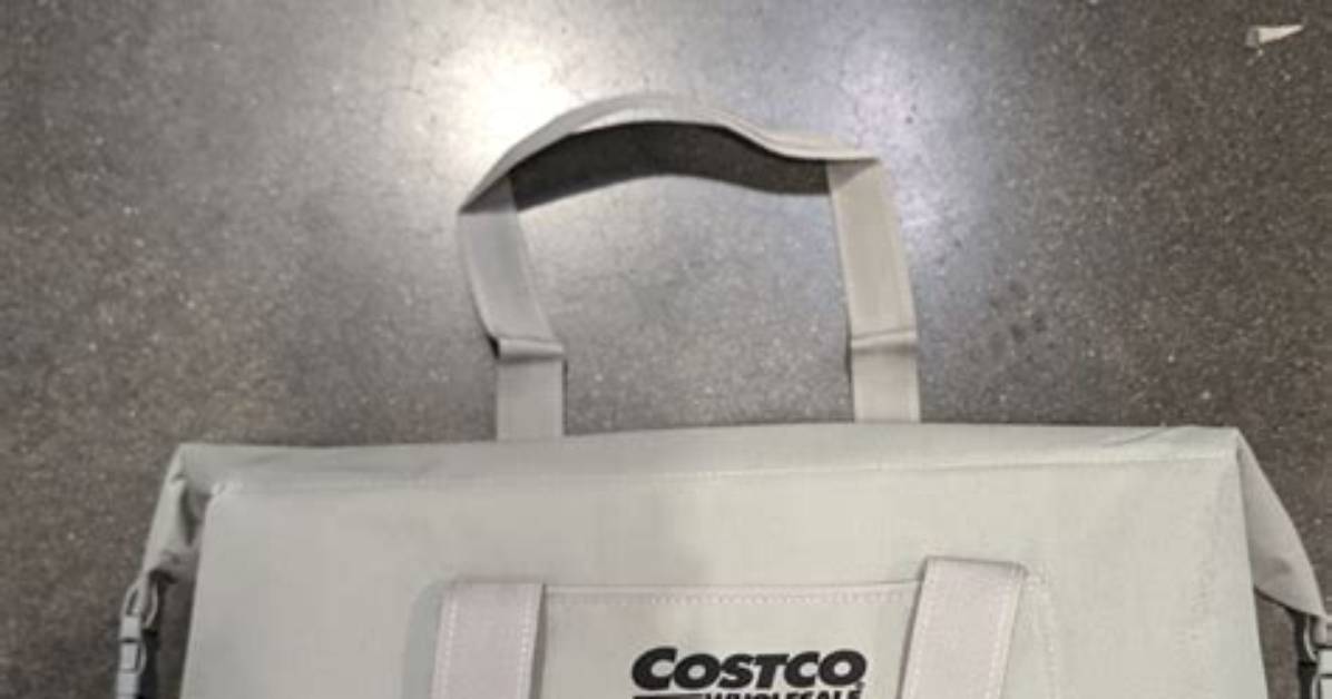 The 48 Costco Bag That Broke the Internet Why Commuters Are Ditching Hulken For