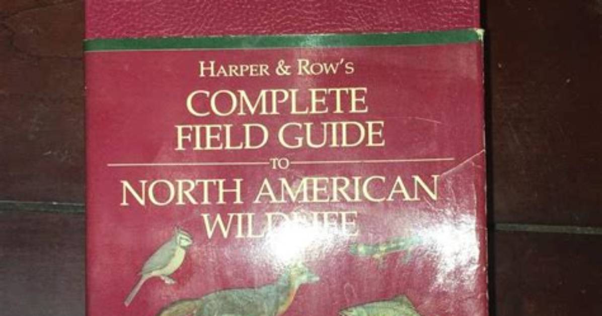 The Apprentice S Complete Field Guide to Calculating Total And