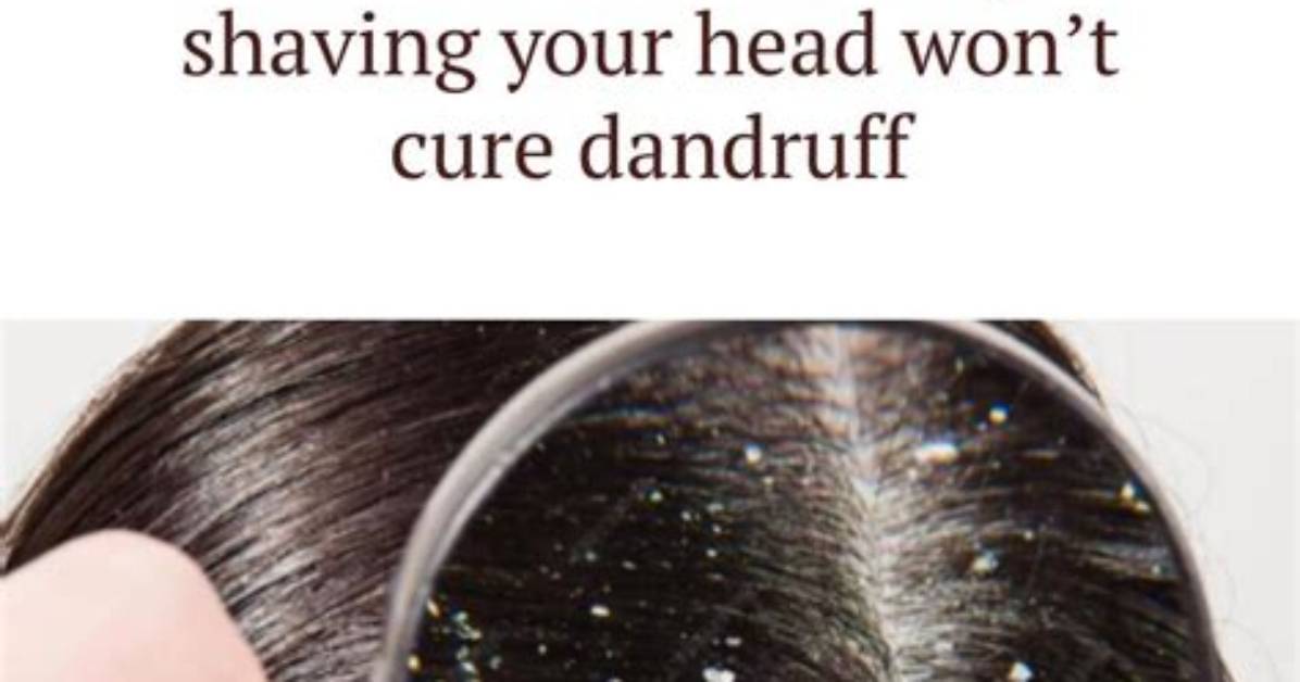 The Bald Truth an Investigative Look at Grooming Culture and Modern