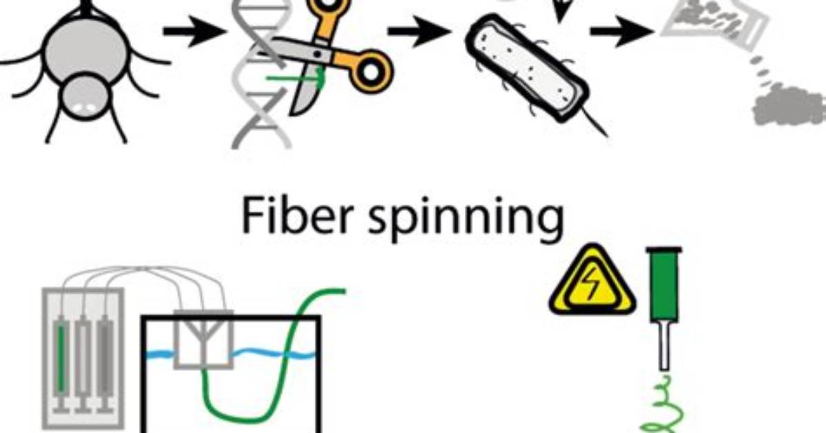 The Biotextile Evolution How Medical Silk Fibers Entered