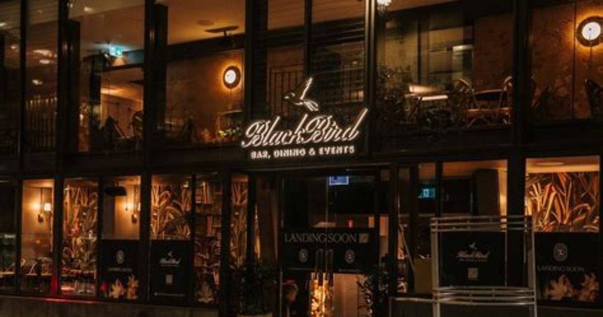 The Blackbird Restaurant Brand Confusion Asheville Edinburgh or New