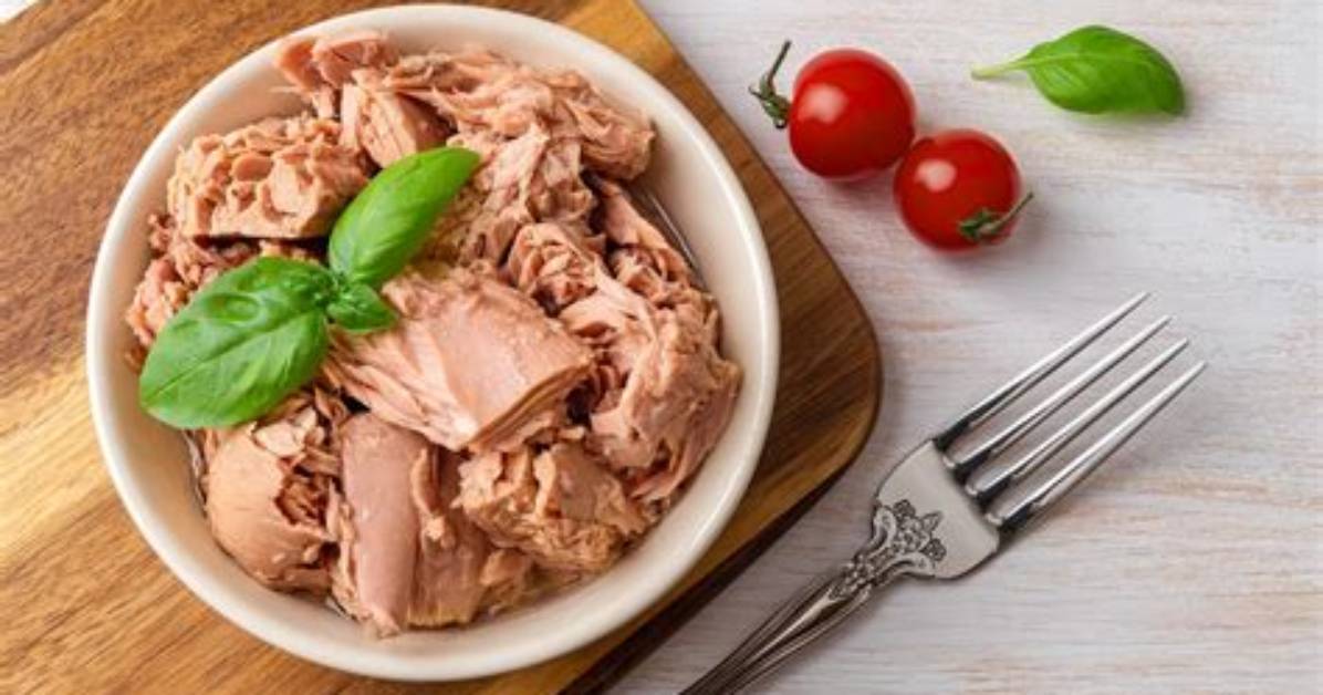 The Canned Tuna Renaissance How a Humble Pantry Staple Took Over