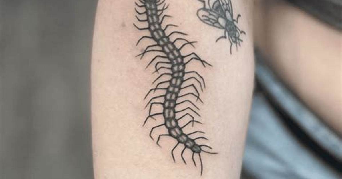 The Centipede Tattoo Revival How Viral Ink Evolved from Indigenous Art To