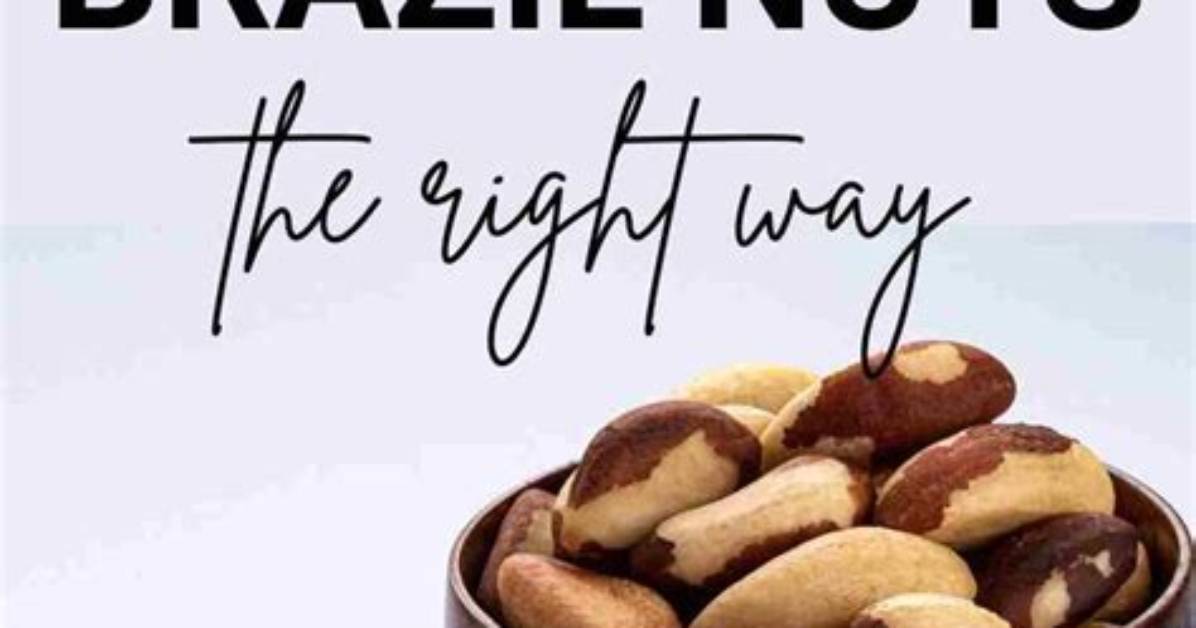 The Complete Brazil Nut Safety Guide Daily Limits Benefits And