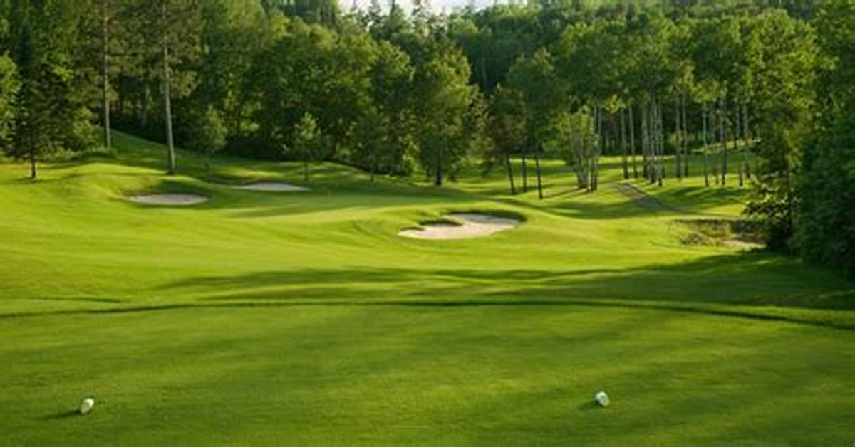 The Complete Carleton Oaks Golf Course Playing Guide Tee Times Strategy And