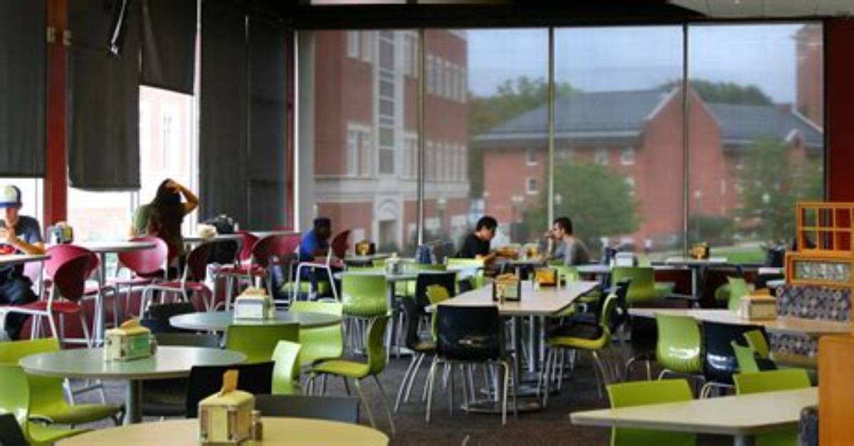 The Complete Ccsu Memorial Hall Guide Housing Costs Rules And