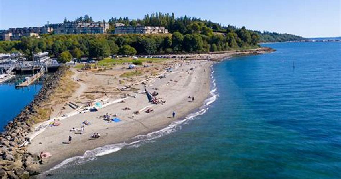 The Complete Edmonds Marina Beach Park Guide Dog Area Hours Rules And