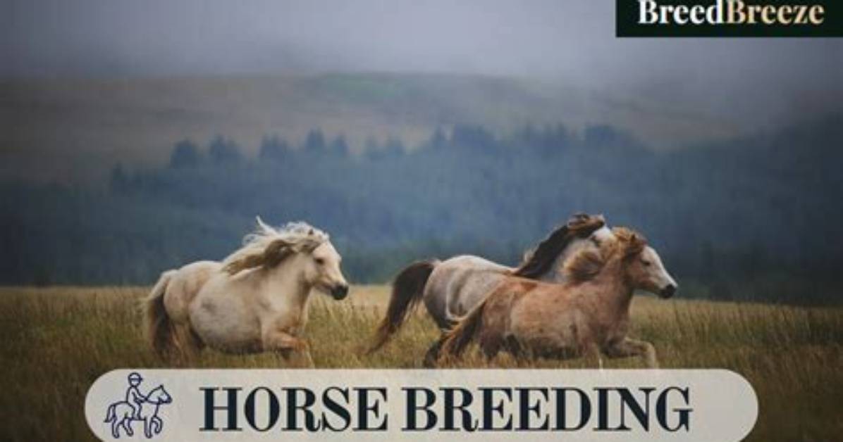 The Complete Guide to Big Horse Breeding Bloodlines Management And