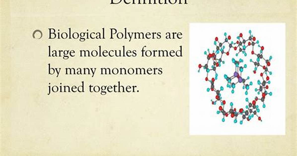 The Complete Guide to Biological Polymers Definition Types And