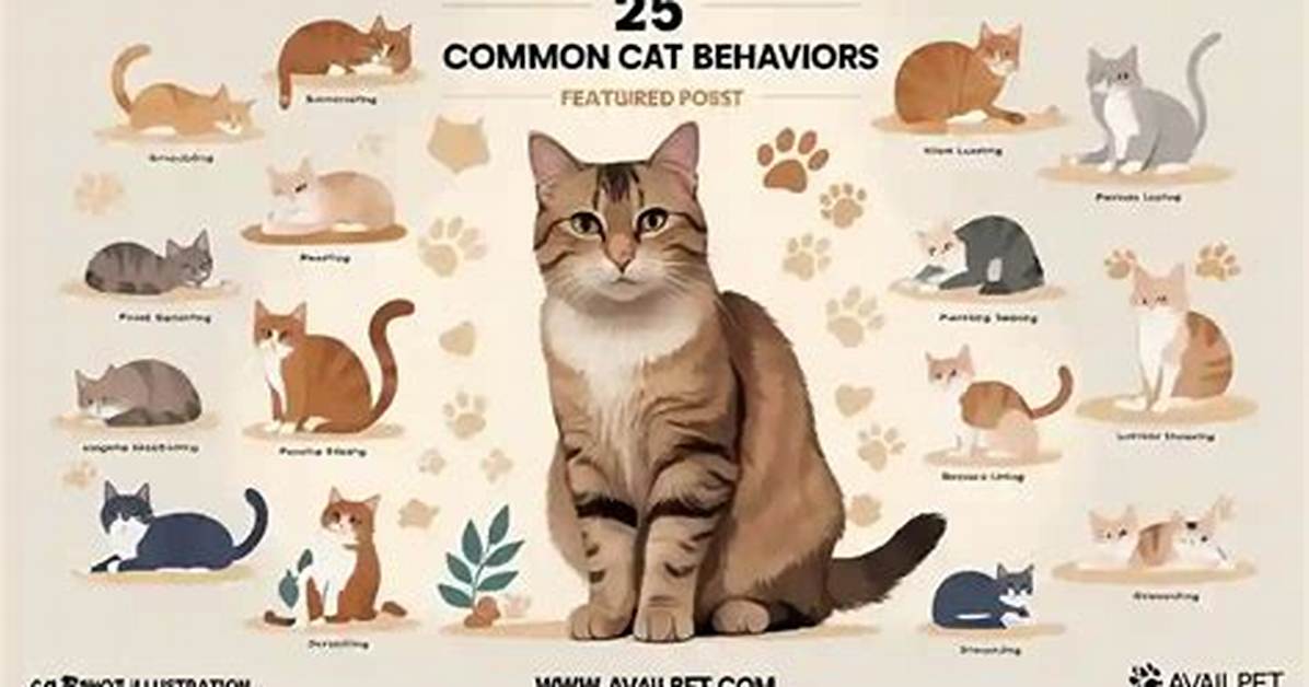 The Complete Guide to Cat Scent Behaviors Flehmen Response And