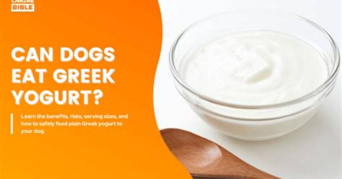 The Complete Guide to Dog Safe Yogurt Types Benefits And