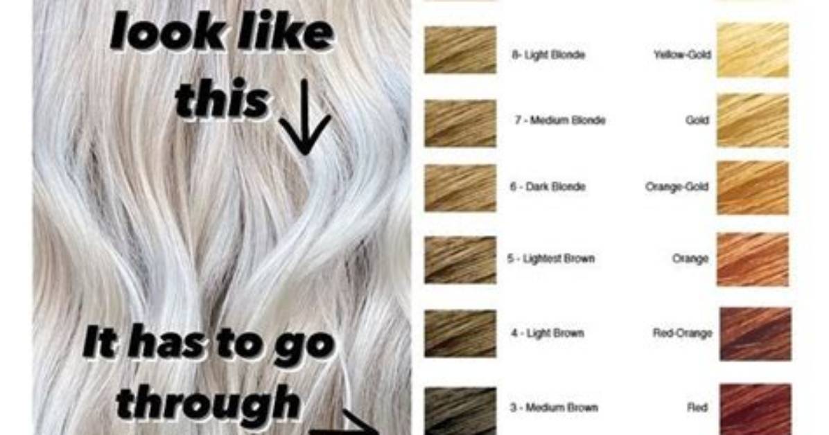 The Complete Guide to Level 8 Blonde Hair Formulas Toners And