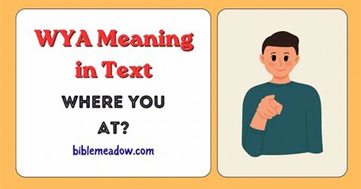 The Complete Guide to Wya in Text Meanings Situations And