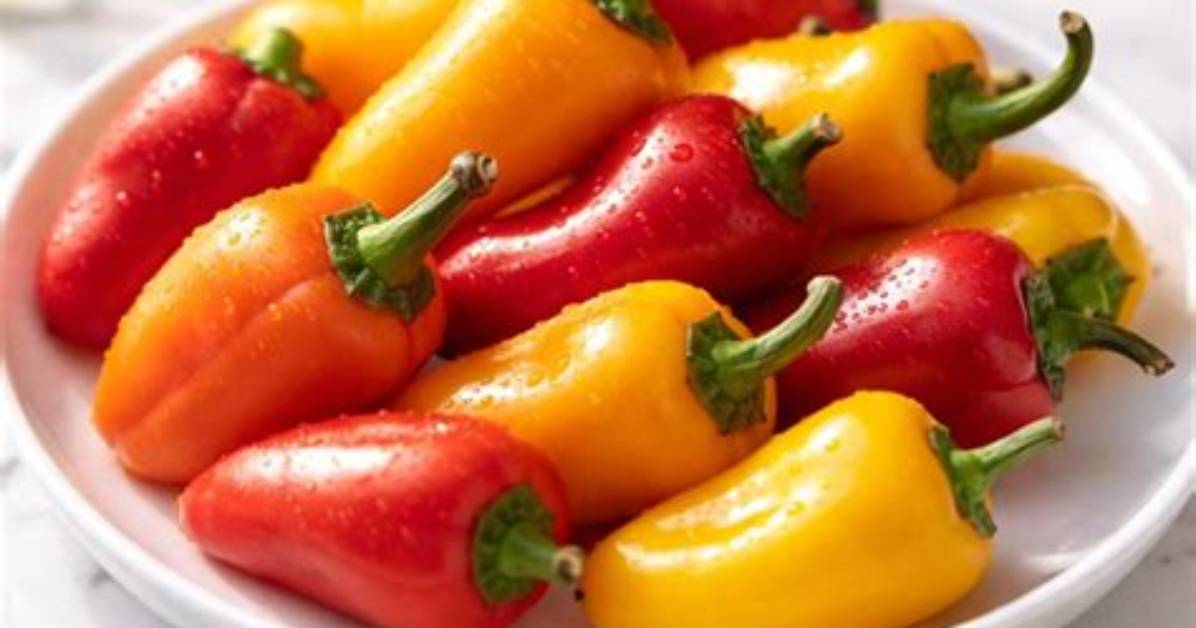 The Complete Guide to Zesty Sweet Peppers Diy Pickling Pairings And