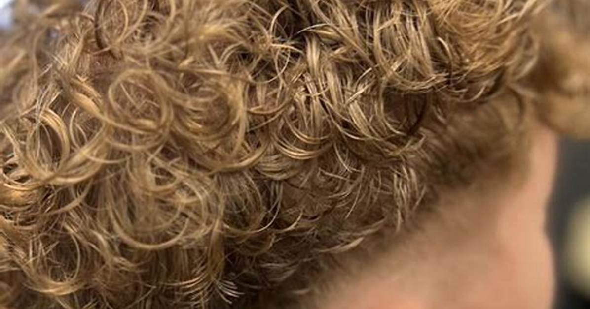 The Complete Men S Perm Blueprint Costs Styles And