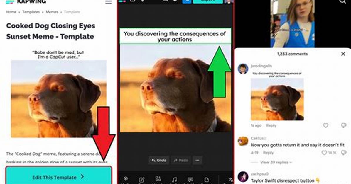 The Complete Tiktok Comment Meme Guide What Every Bizarre Phrase