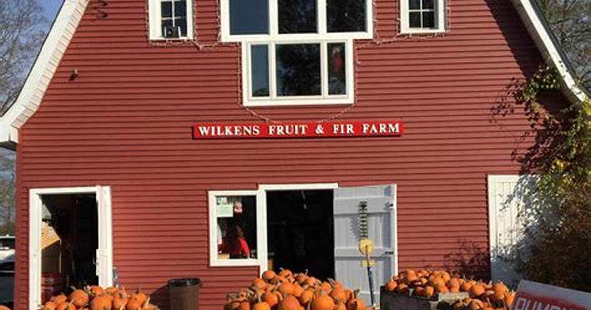 The Complete Visitor Guide to Wilkens Fruit and Fir Farm Apples Wine And