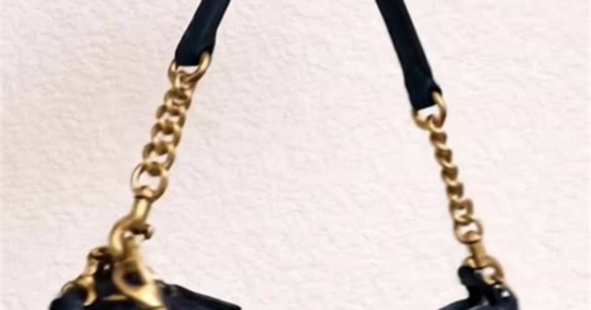 The Coraline Coach Bag Phenomenon How a Viral Sensation Took Over