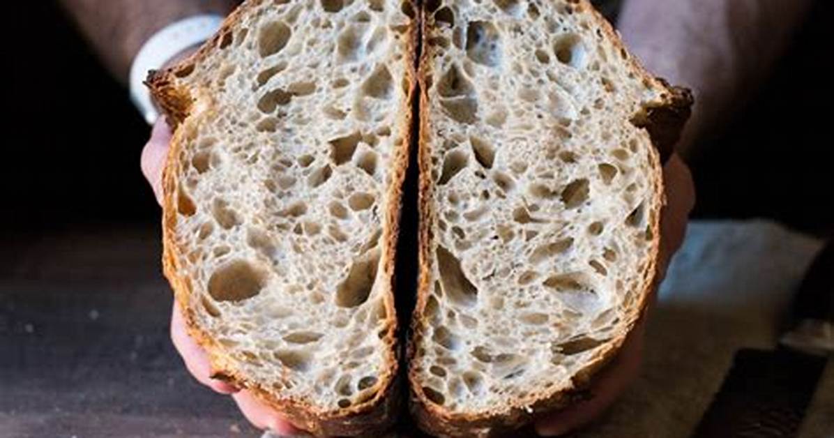 The Crumb Test Inside the Perfect Bakery Style Vanilla Cake