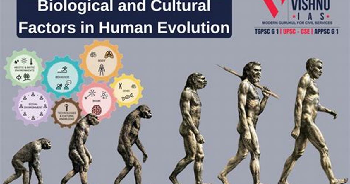 The Cultural Evolution of Cornrows How Feed in Techniques Redefined The