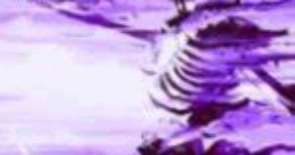 The Disintegrating Skeleton Meme Breakdown Visual Asset Sources and Hd