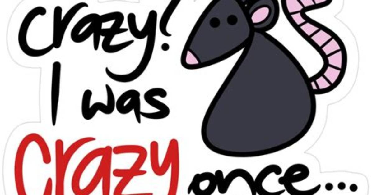 The Evolution of Crazy Once a Complete Timeline of Its