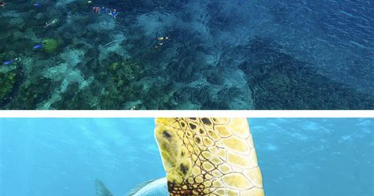 The Evolution of Cruise Pranks How High Seas Hoaxes