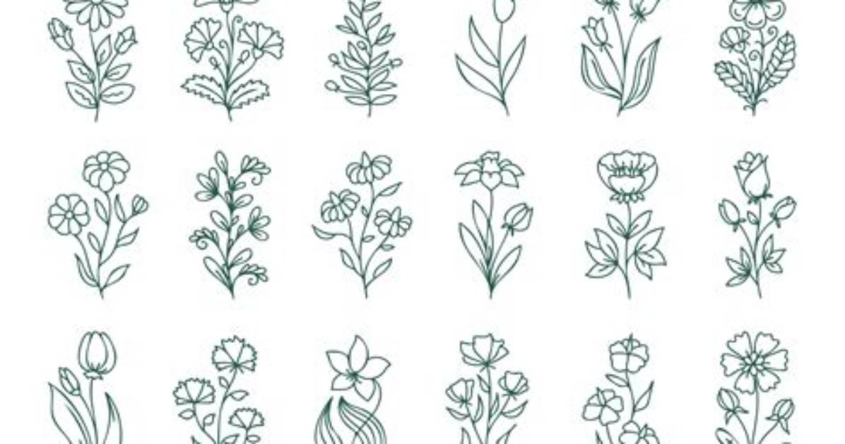 The Evolution of Floral Line Art Across Fashion Nails And