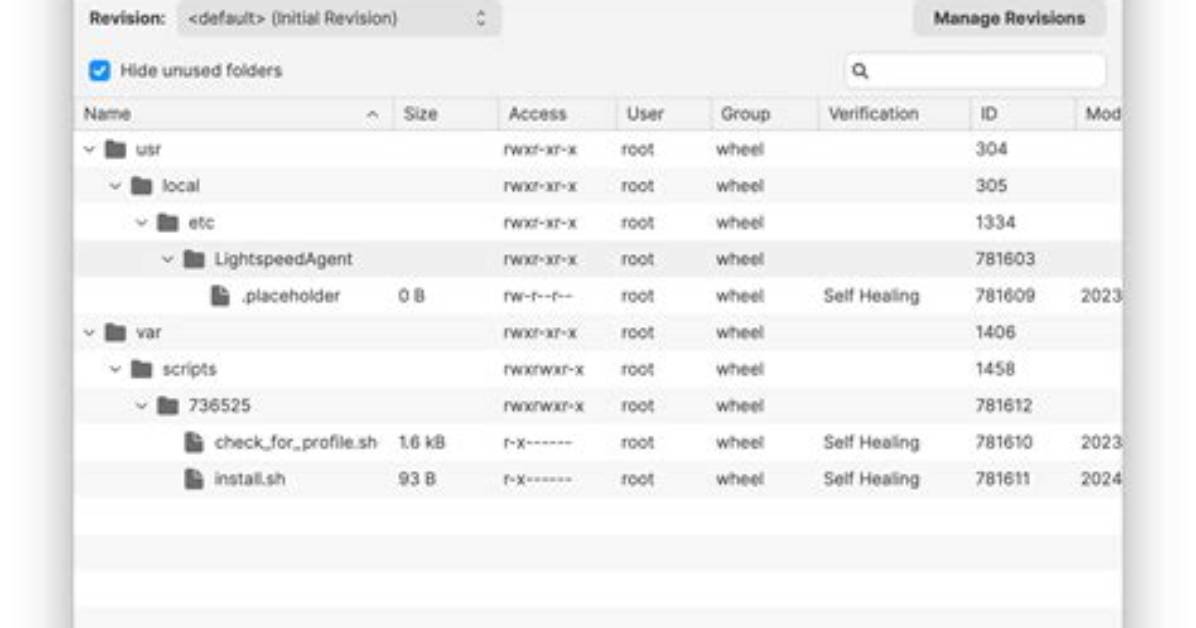 The Evolution of Lightspeed Filter Agent from Simple Proxy to Ai