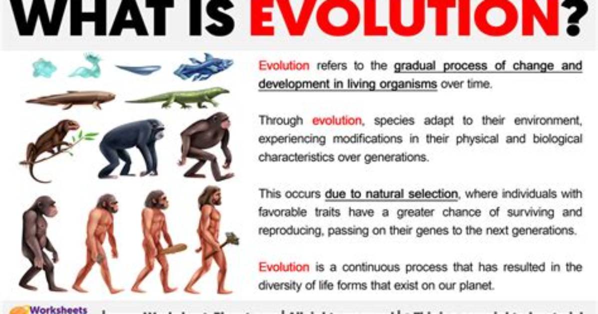 The Evolution of Meaning How Psychological Discoveries Reshaped Our Understanding Of