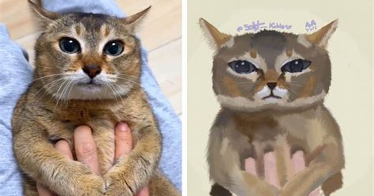 The Evolution of Mei Mei the Cat from Diplomatic Posts To