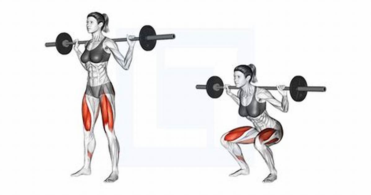 The Evolution of the Squat Why Medical Experts Name It the Ultimate