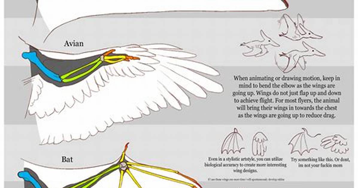 The Evolution of Wing Art How Recent Scientific Discoveries