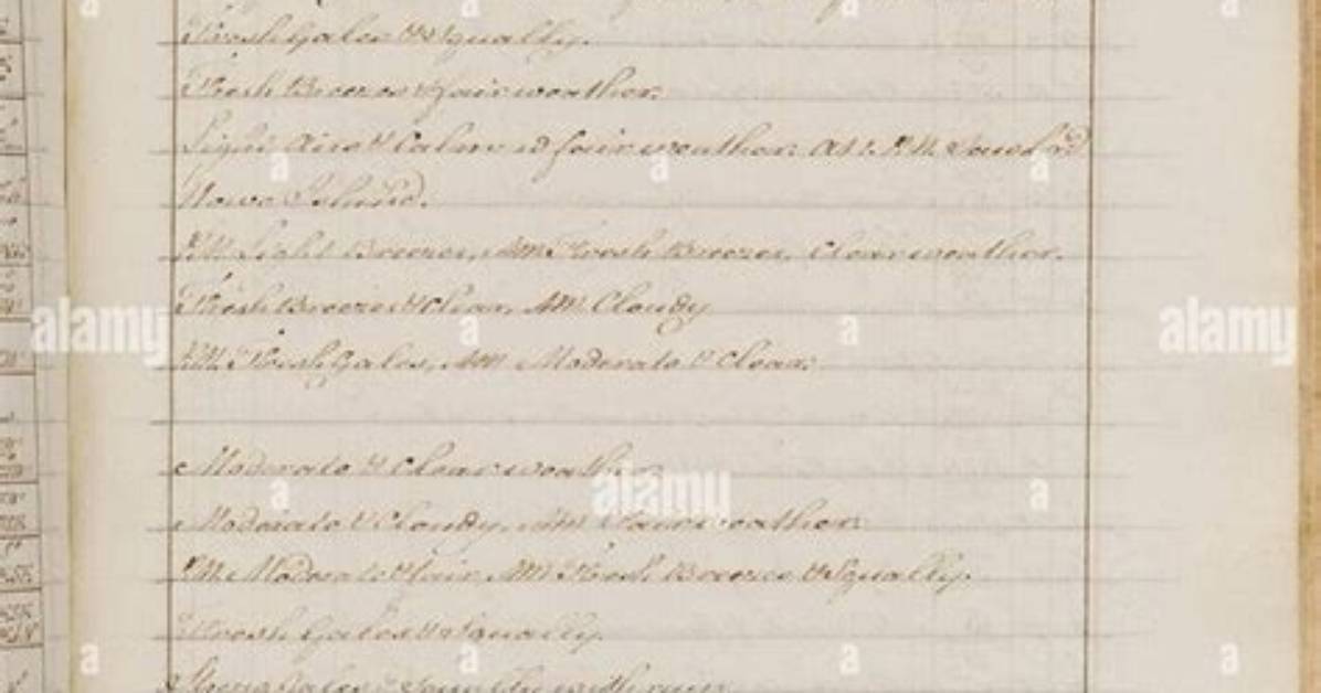 The Focal Meridian Archival Record #Longevity