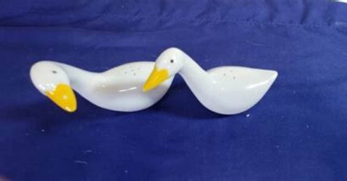 The Goose Measuring Spoons Scam Alert How to Avoid Shady Dropshippers And