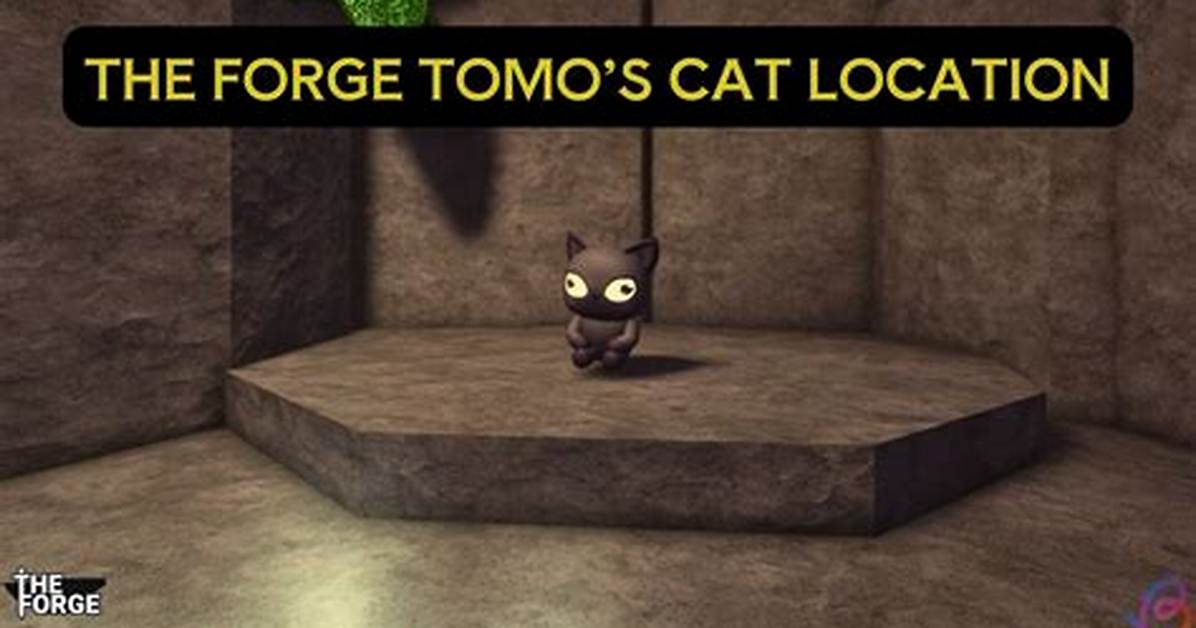 The Hidden Forge Cat Location Where Tomo S Missing Pet Is