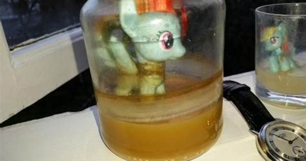 The Infamous 4Chan Mlp Jar Project How an Obscure Post Became Internet