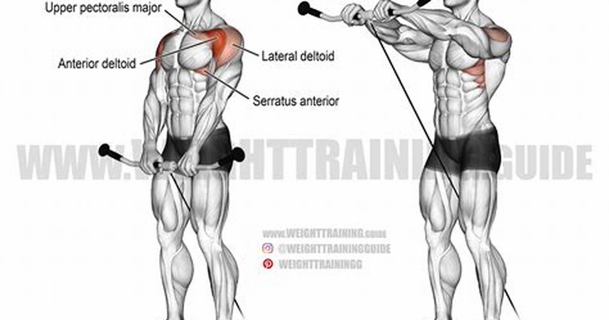 The Master Guide to Cable Front Raises Proper Form Angles and Rep