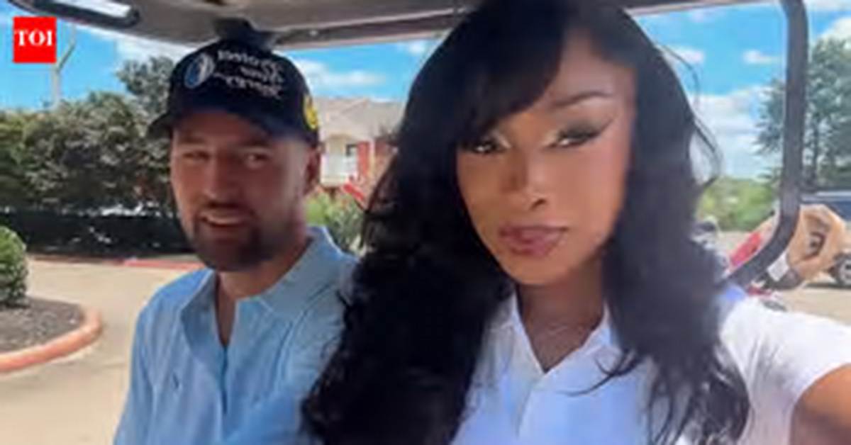The Megan Thee Stallion Leak Fact Check Unmasking the Source And