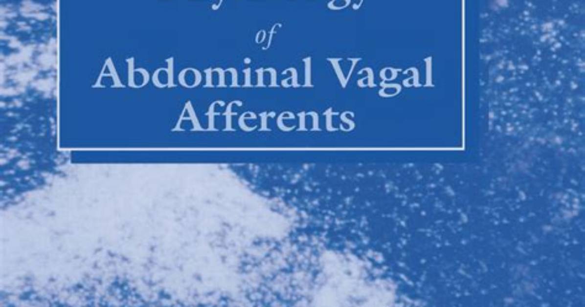 The Physiology of Abdominal Sensitivity How Tickling