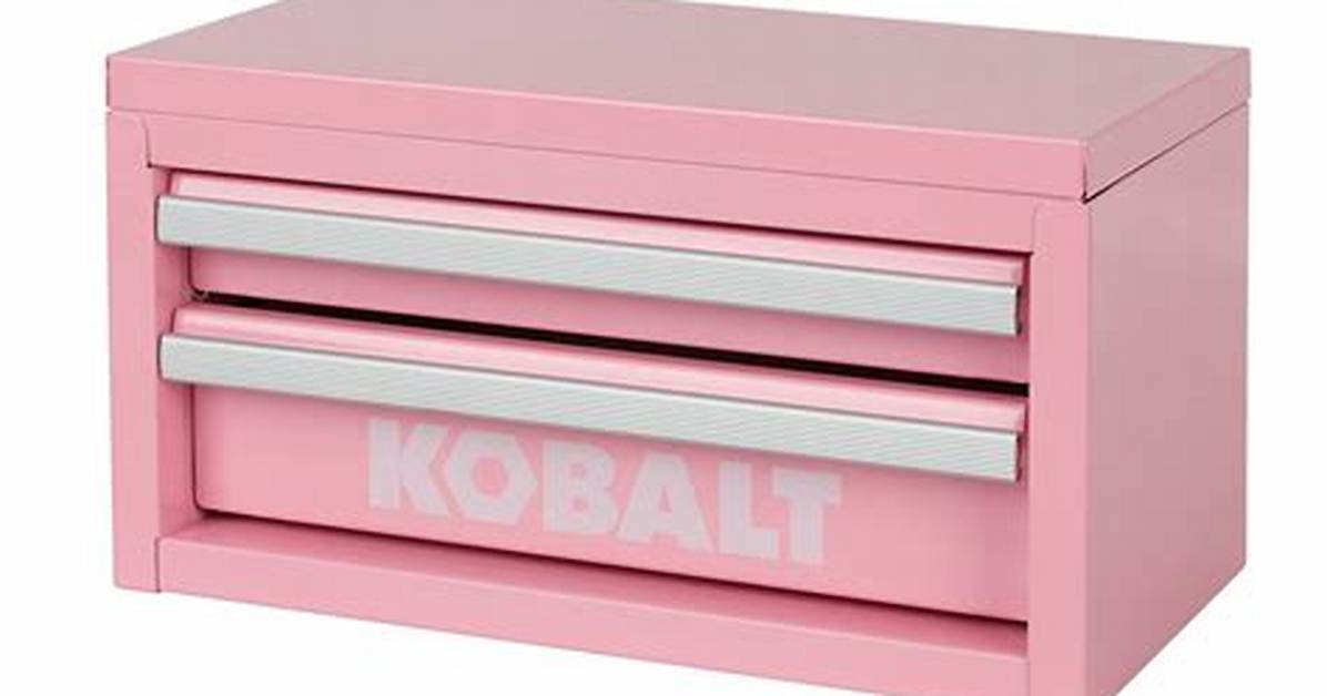 The Pink Kobalt Tool Box Craze Why Lowe S Viral Storage Chest Is