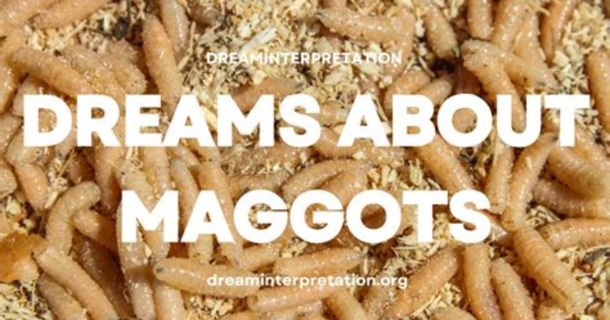 The Psychology of Maggot Dreams What Your Subconscious Mind Is