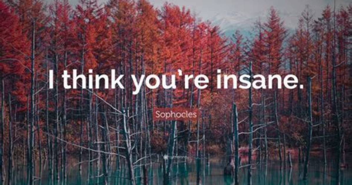 The Rise of the You Re Insane You Re in Pain Meme from Obscure Audio to Mainstream Pop